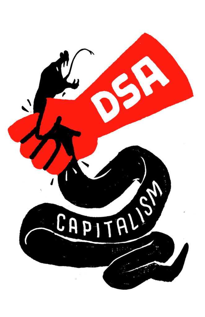 DSA Fist and Snake Graphic