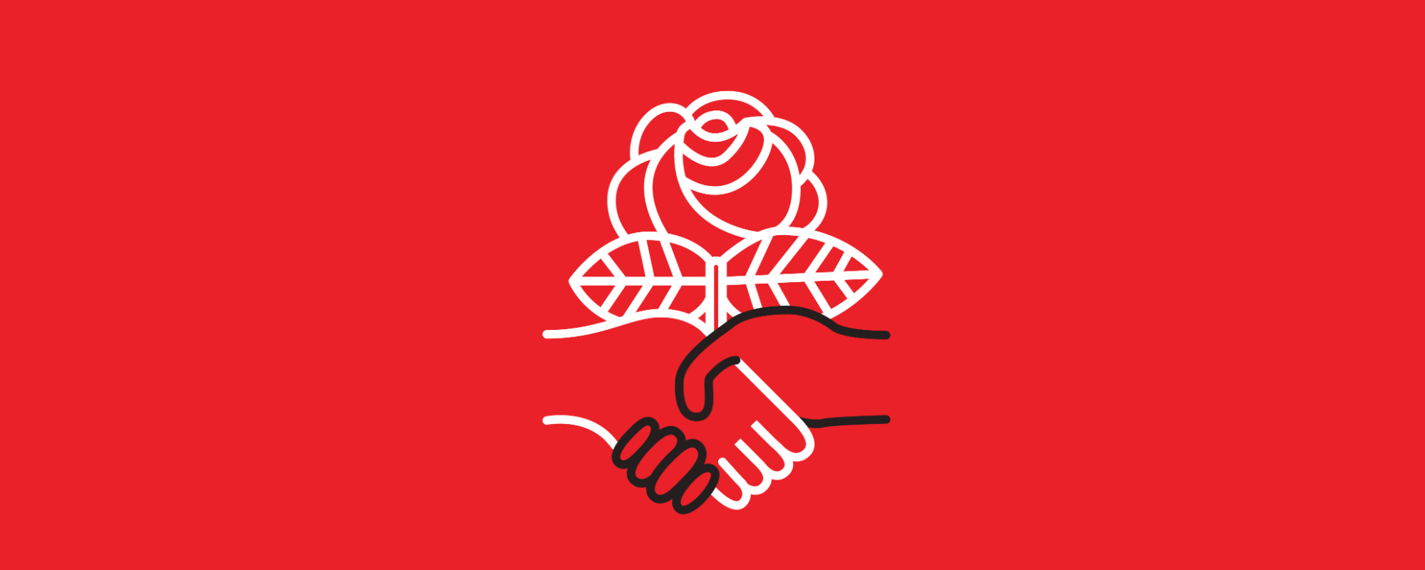 DSA Solidarity Banner